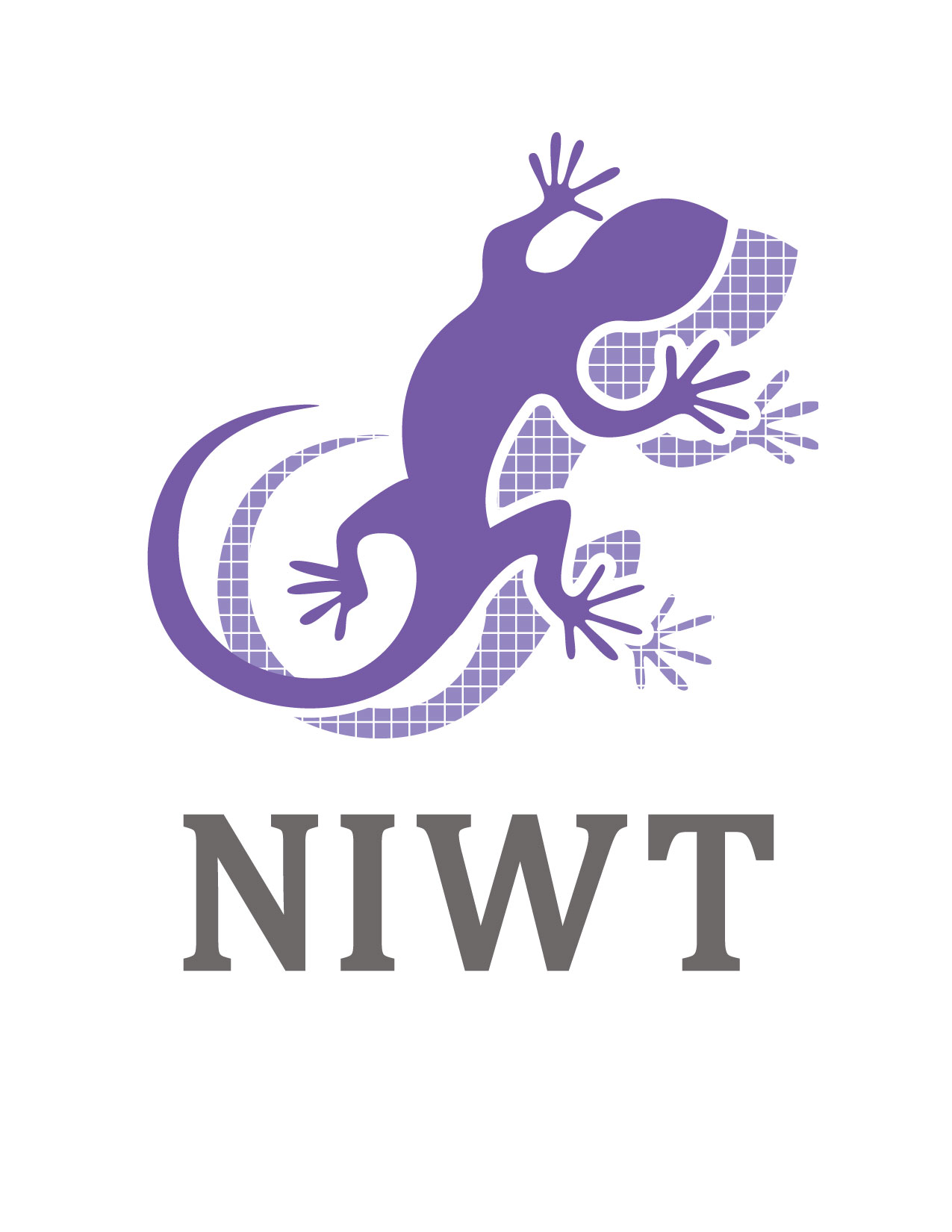 Niwt Illustration